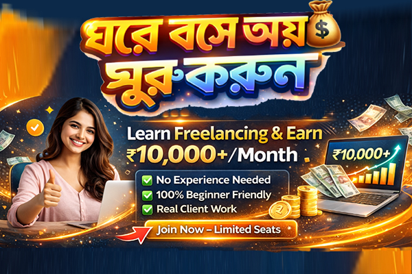 freelance web developer